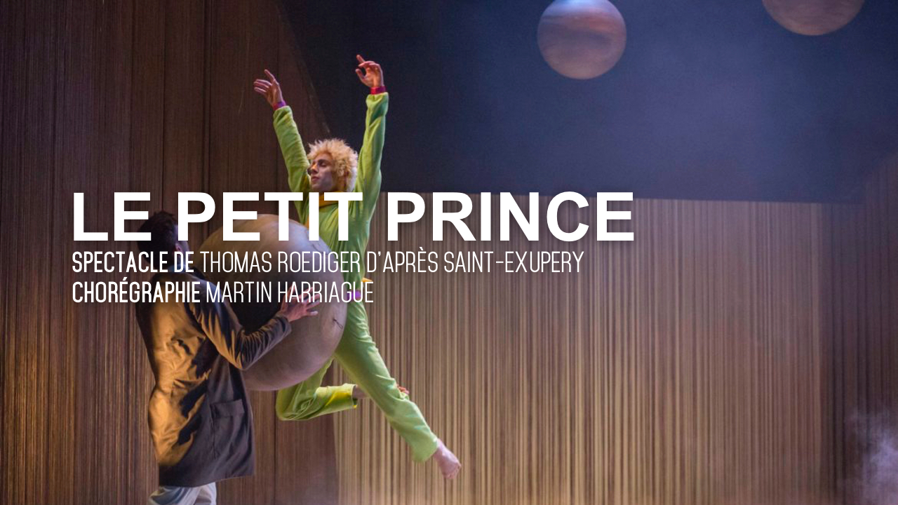 LE PETIT PRINCE - Martin Harriague